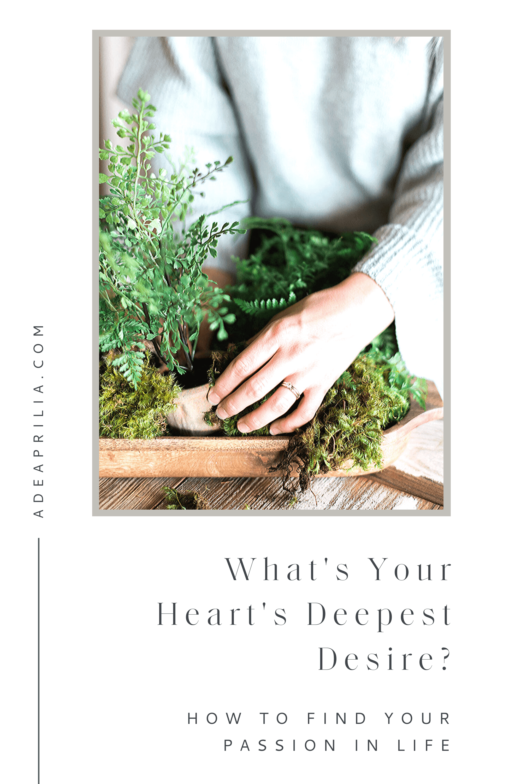 How to find passion in life by asking a question: what's my heart's deepest desire?